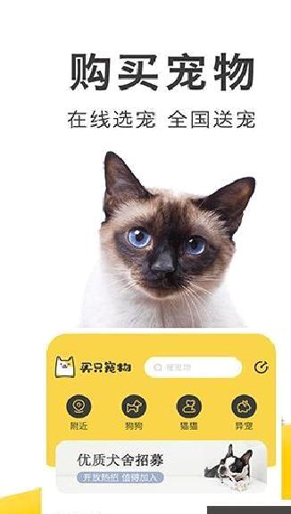 买只宠物 v4.4.0安卓版