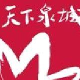 天下泉城纯净版 v5.9.0