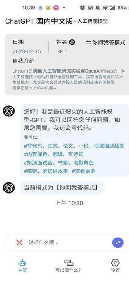 ChatGPT中文版 v1.1.3