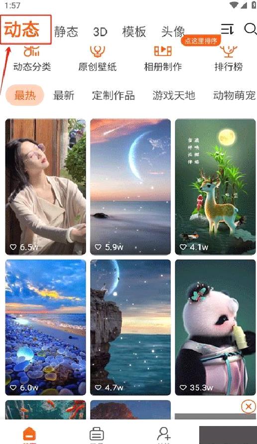 壁纸精灵最新版 v6.5.6