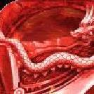 君临传奇手游 v11.0.0