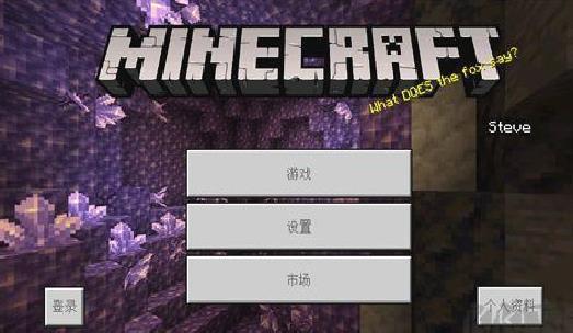 我的世界旧版 v1.17.10.04