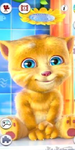 会说话的金杰猫2正版 v3.0.0.264