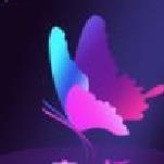 花蝴蝶直播APP 安卓版v4.0.0