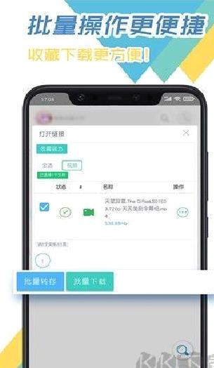 飞鸟下载器 v3.96最新版