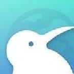 kiwibrowser浏览器安卓版 v132.0.6