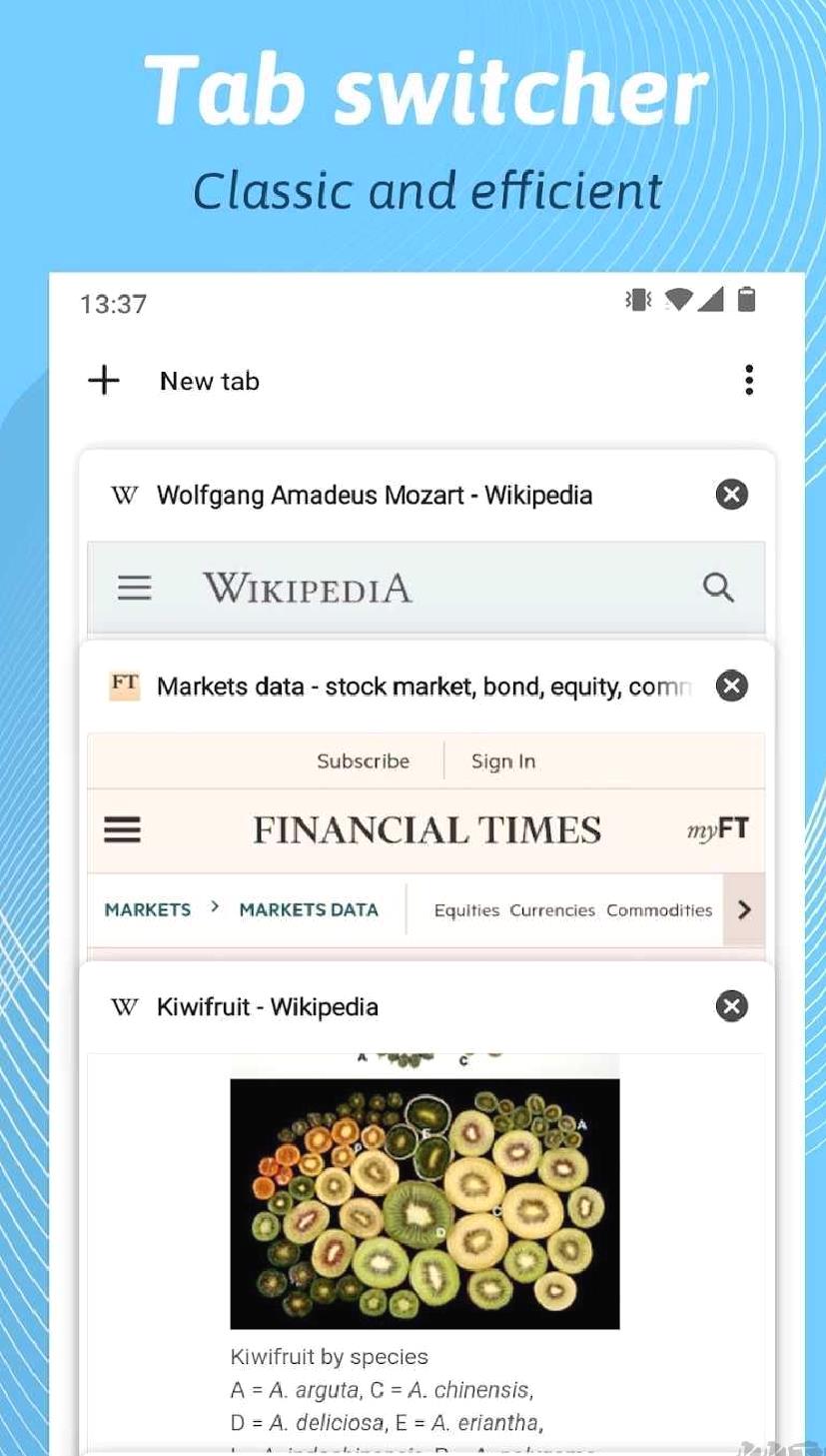 kiwibrowser浏览器安卓版 v132.0.6