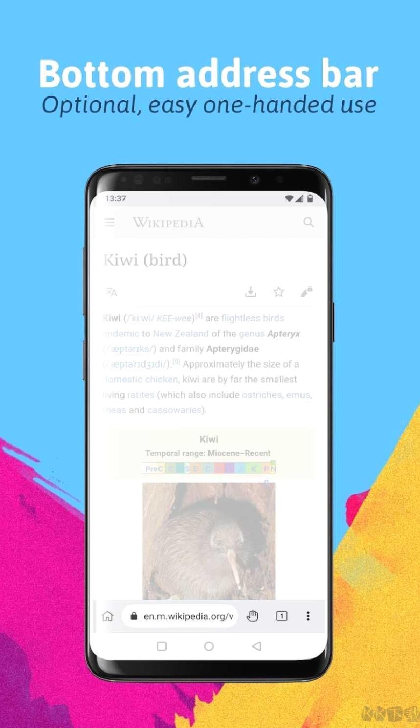 kiwibrowser浏览器安卓版 v132.0.6